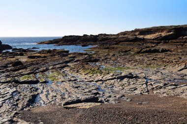 Point Lobos State Doğal Rezervi 'ndeki gelgit sırasında Pasifik Okyanusu' nun kayalık kıyıları. Kaliforniya, ABD.