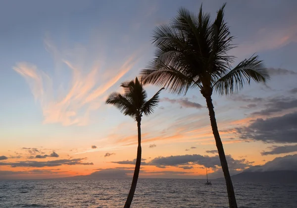 Coucher de soleil tropical avec silhouette de palmiers — Photo