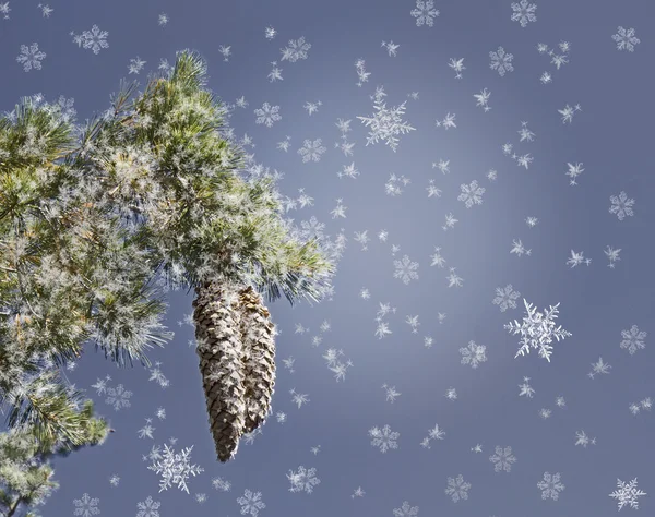 Fondo de Navidad con rama de pino y copos de nieve — Foto de Stock