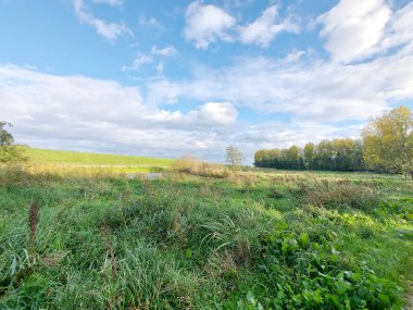 Hollanda 'daki Nieuwerkerk aan den ijssel' de sonbahar mevsiminde Hitland parkının üzerindeki gökyüzünde beyaz kümülüs bulutları