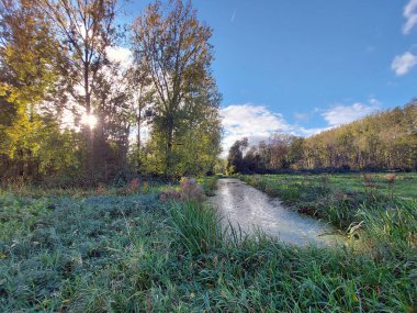 Hollanda 'daki Nieuwerkerk aan den ijssel' de sonbahar mevsiminde Hitland parkının üzerindeki gökyüzünde beyaz kümülüs bulutları