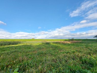 Hollanda 'daki Nieuwerkerk aan den ijssel' de sonbahar mevsiminde Hitland parkının üzerindeki gökyüzünde beyaz kümülüs bulutları