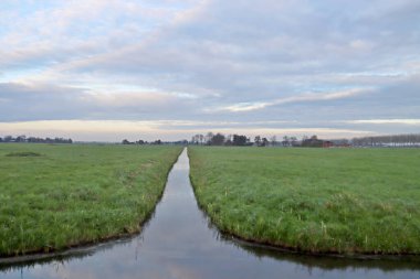 Hollanda 'da dinlenme alanı olarak Nieuwerkerk aan den IJssel' deki çayırlar ve park Hitland ormanı
