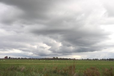 Hollanda 'da dinlenme alanı olarak Nieuwerkerk aan den IJssel' deki çayırlar ve park Hitland ormanı