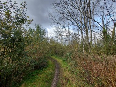 Hollanda 'da dinlenme alanı olarak Nieuwerkerk aan den IJssel' deki çayırlar ve park Hitland ormanı