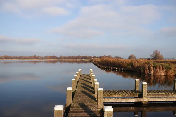 オランダのZevenhuizenのRottemenに葦のストリップと木製の桟橋がある水 — ストック写真