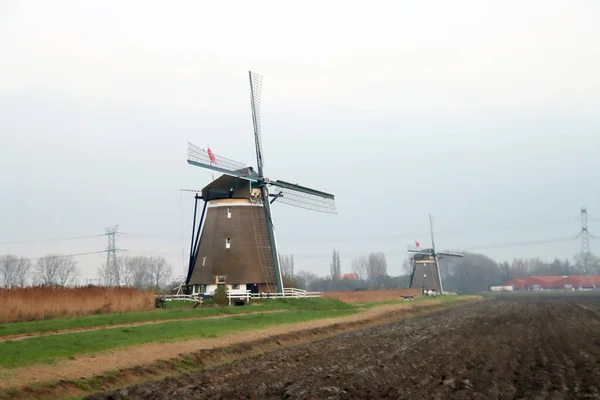 荷兰Zevenhuizen Tweemanspolder的Molenviergang风车 — 图库照片