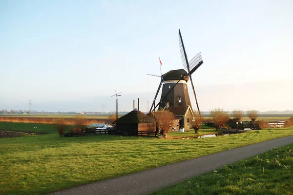 Ветряные Мельницы Molenviergang Tweemanspolder Zevenhuizen Нидерланды — стоковое фото