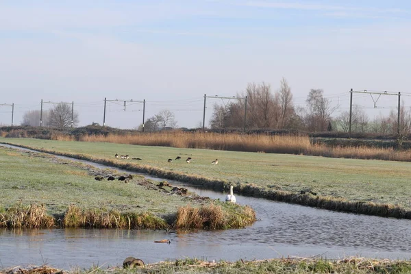 Polder Mais Baixo Nos Países Baixos Zuidplaspolder Entre Gouda Roterdão — Fotografia de Stock