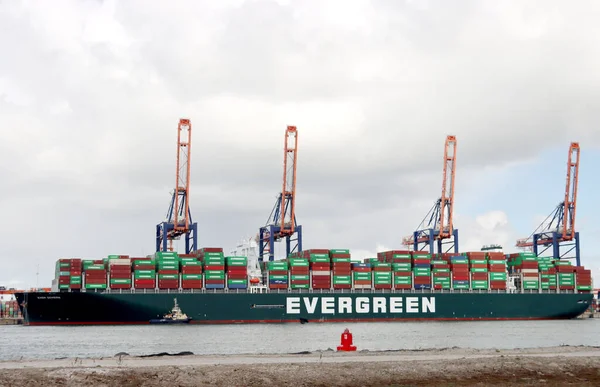 Rotterdam 'daki Maasvlakte Limanı' nda Evergreen 'e yükleme ve boşaltma yapılmış konteynır gemisi.