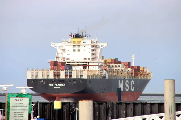 Msc Flamina Barco Con Contenedores Puerto Maasvlakte Puerto Rotterdam Los — Foto de Stock