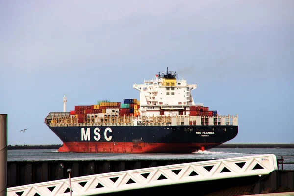 Msc Barco Con Contenedores Puerto Maasvlakte Puerto Rotterdam Los Países — Foto de Stock