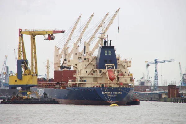 Navio Carga Granel Seastar Trojan Atracado Porto Waalhavel Como Parte — Fotografia de Stock