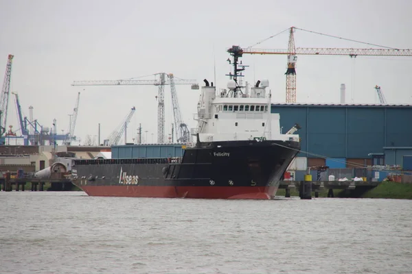 Felicity Rotterdam Limanı Nın Bir Parçası Olarak Waalhavel Limanına Demir — Stok fotoğraf