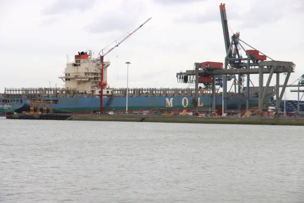 Bulk Cargo Ship Mol Experience Moored Waalhavel Harbor Part Port — Stock Photo, Image