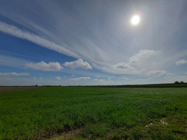 Gouda ve Rotterdam arasında Hollanda 'nın en düşük polen taşıyıcısı. Orada 8000 ev, 2 sanayi bölgesi ve bir orman bölgesi inşa edilecek.