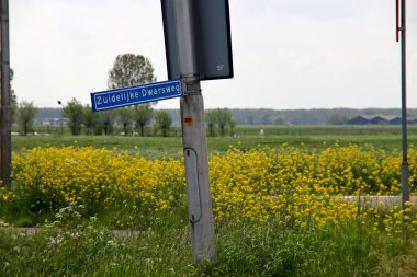 Gouda ve Rotterdam arasında Hollanda 'nın en düşük polen taşıyıcısı. Orada 8000 ev, 2 sanayi bölgesi ve bir orman bölgesi inşa edilecek.