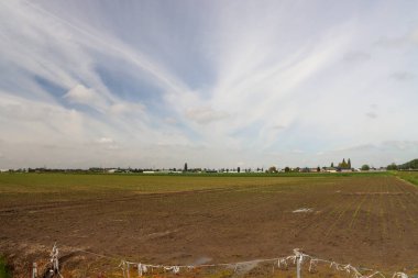 Gouda ve Rotterdam arasında Hollanda 'nın en düşük polen taşıyıcısı. Orada 8000 ev, 2 sanayi bölgesi ve bir orman bölgesi inşa edilecek.