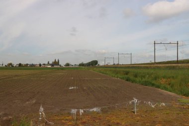 Gouda ve Rotterdam arasında Hollanda 'nın en düşük polen taşıyıcısı. Orada 8000 ev, 2 sanayi bölgesi ve bir orman bölgesi inşa edilecek.