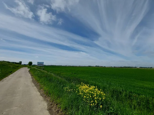 Pólder Más Bajo Los Países Bajos Zuidplaspolder Entre Gouda Rotterdam — Foto de Stock