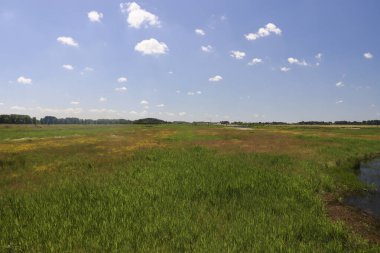 Rotterdam yakınlarındaki Zuidplas bölgesinde Zevenhuizen 'deki su deposundaki çayırlar, yollar ve kanallar