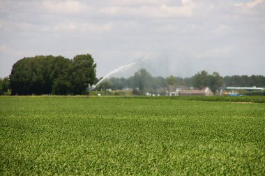 Zuidplas Belediyesi tarafından 8000 ev inşa edilen Gouda ve Rotterdam arasındaki Hollanda Zuidplaspolder 'ın en alçak polderi.
