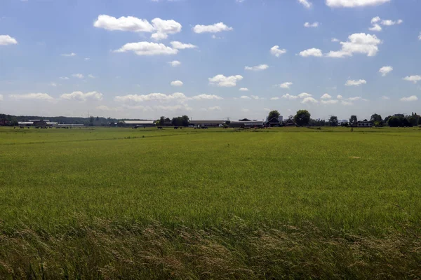 Polder Bas Des Pays Bas Zuidplaspolder Entre Gouda Rotterdam Nouveau — Photo