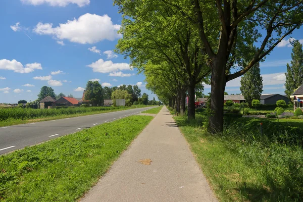 荷兰Zuidplaspolder在Gouda和Rotterdam之间的最低投票人 Zuidplas市正在建造一个有8 000栋房屋的新村庄 — 图库照片