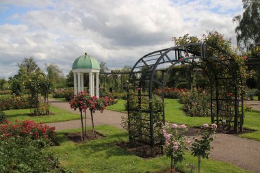 Boskoop 'taki Guldemondsoen Rosaryumu. Hollanda' daki Flora müzayedesine yakın 200 çeşit gülle.