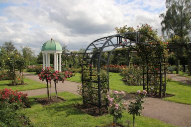 Boskoop 'taki Guldemondsoen Rosaryumu. Hollanda' daki Flora müzayedesine yakın 200 çeşit gülle.