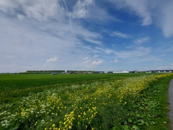 Green Fields Municipality Zuidplas Expand Gouwepark Business Park Part New — Fotografia de Stock