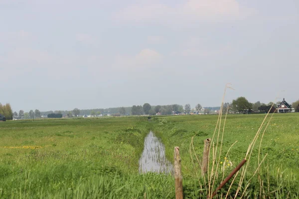 Meadows Country Road Zuidplaspolder Netherlands New Village Build Called Vijfde — Fotografia de Stock