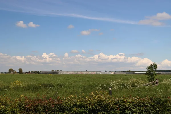 Zuidplaspolder Daki Sera Zuidplas Taki Yeni Köyün Yıkılmasını Bekliyor — Stok fotoğraf