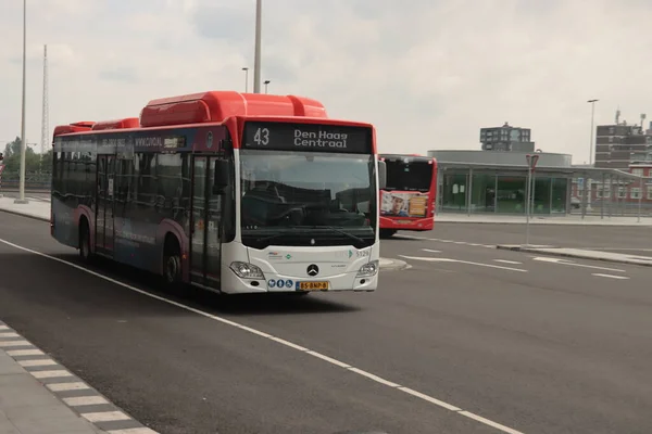 Регіональний Автобус Обслуговується Ebs Платформі Den Haag Centraal Station Гаазі — стокове фото