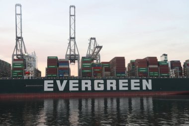Rotterdam limanında gün batımında Maasvlakte konteyner terminalinde vinçler