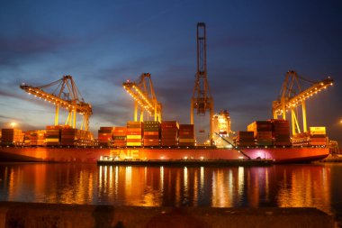 Rotterdam limanında gün batımında Maasvlakte konteyner terminalinde vinçler