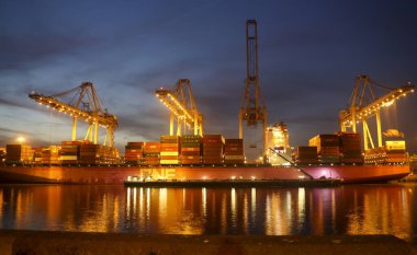 Rotterdam limanında gün batımında Maasvlakte konteyner terminalinde vinçler
