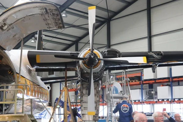 Caballeros Oro F27 Fokker Amistad Avión Hangar Aeropuerto Lelystad Para —  Fotos de Stock