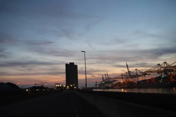 Grúas Terminal Contenedores Maasvlakte Durante Puesta Del Sol Puerto Rotterdam — Foto de Stock