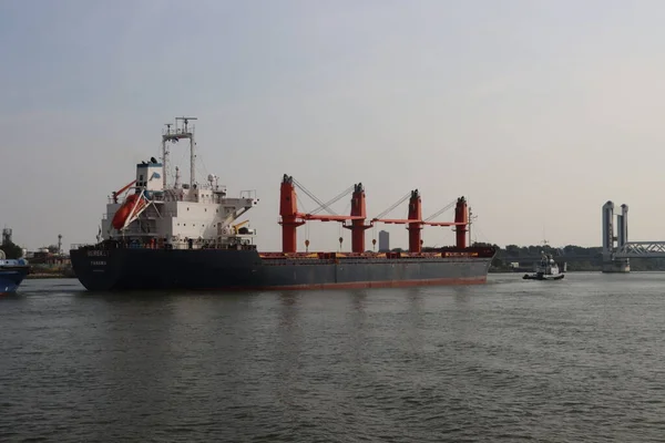 Bulk Carrier Bereket Desde Panamá Oude Maas Rumbo Botlekbrigde Rotterdam — Foto de Stock