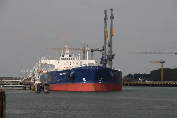 Petrol Tankeri Seatribute Hollanda Rotterdam Limanı Nda Bir Iskeleye Demirledi — Stok fotoğraf