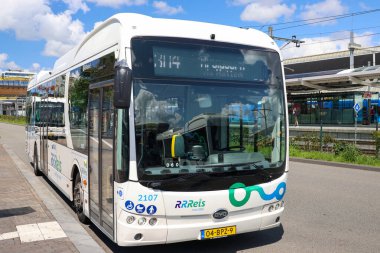 Hollanda 'nın Zwolle kentinde EBS RRRRReis tarafından toplu taşıma için elektrikli BYD otobüsleri