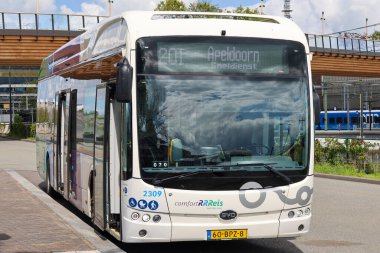 Hollanda 'nın Zwolle kentinde EBS RRRRReis tarafından toplu taşıma için elektrikli BYD otobüsleri