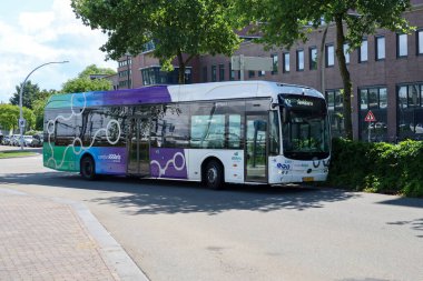 Hollanda 'nın Zwolle kentinde EBS RRRRReis tarafından toplu taşıma için elektrikli BYD otobüsleri