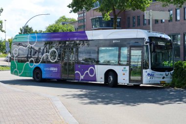 Hollanda 'nın Zwolle kentinde EBS RRRRReis tarafından toplu taşıma için elektrikli BYD otobüsleri