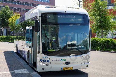 Hollanda 'nın Zwolle kentinde EBS RRRRReis tarafından toplu taşıma için elektrikli BYD otobüsleri