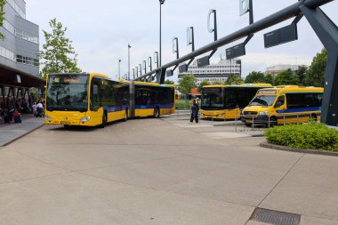 Sarı Qbuzz otobüsü Hollanda 'daki Leeuwarden İstasyonu' nda Frizya Kaynağı 'na doğru koşuyor.