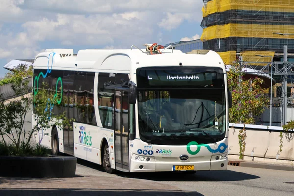 Hollanda 'nın Zwolle kentinde EBS RRRRReis tarafından toplu taşıma için elektrikli BYD otobüsleri