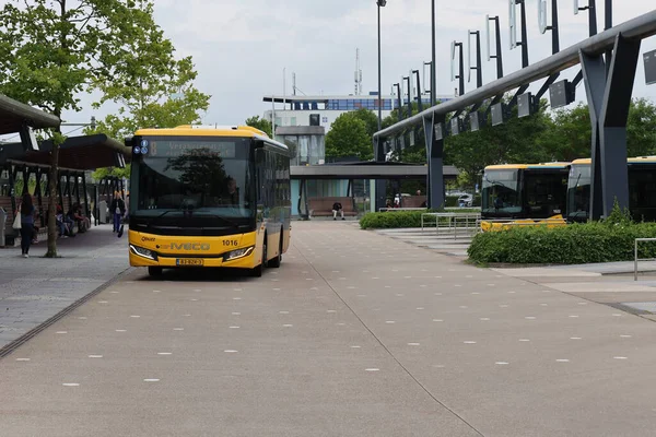 Sarı Qbuzz otobüsü Hollanda 'daki Leeuwarden İstasyonu' nda Frizya Kaynağı 'na doğru koşuyor.