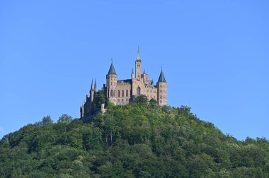 Hohenzollern Şatosu güneşli bir günde ağaçlarla dolu bir tepede yuva yapıyor.